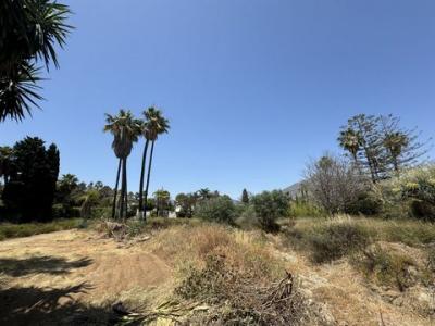 Annonce Vente Terrain Marbella