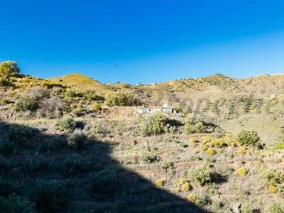 Annonce Vente Terrain Torrox