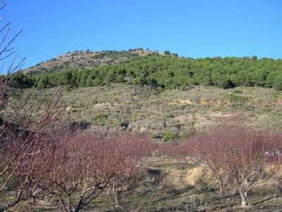 Acheter Terrain Canillas-de-albaida rgion MALAGA