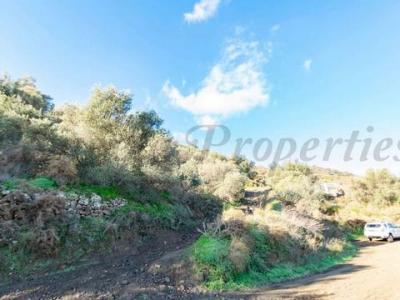 Annonce Vente Terrain Torrox