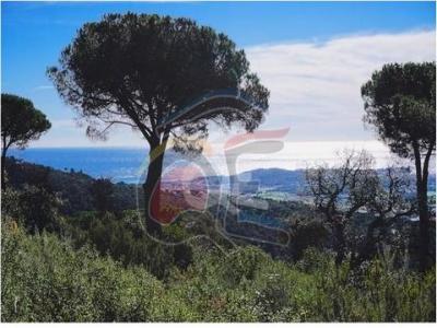 Acheter Terrain 2306 m2 Castell-platja-d'aro