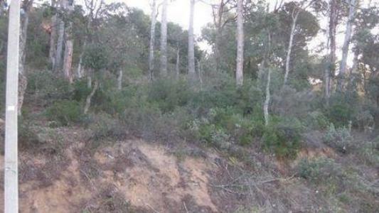 Acheter Terrain 782 m2 Palafrugell