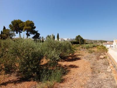 Annonce Vente Terrain Javea