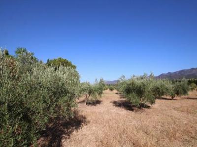 Vente Maison Alhaurin-el-grande  MA en Espagne