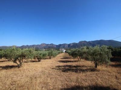 Acheter Maison Alhaurin-el-grande rgion MALAGA