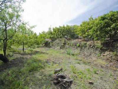 Vente Maison Canillas-de-albaida  MA en Espagne