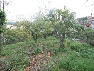 Vente Terrain Canillas-de-albaida  MA en Espagne