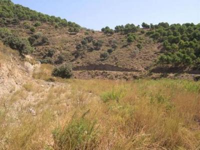 Vente Terrain Sedella  MA en Espagne