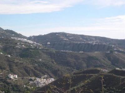Vente Terrain Canillas-de-albaida  MA en Espagne
