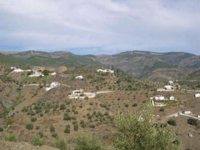 Annonce Vente Terrain Canillas-de-albaida