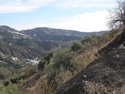 Acheter Terrain Canillas-de-albaida