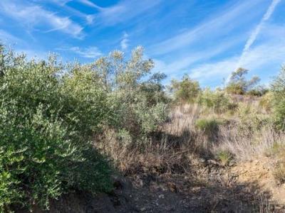 Annonce Vente Terrain Torrox