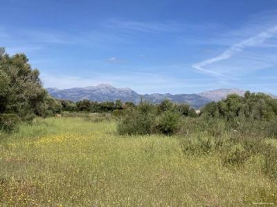 Acheter Terrain Mallorca rgion ISLAS-BALEARES