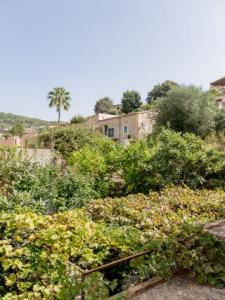 Annonce Vente Maison Puigpunyent