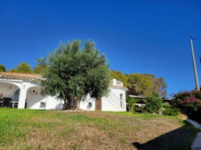 Acheter Maison Calpe rgion ALICANTE