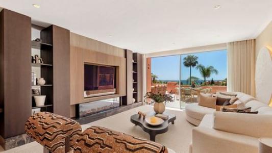 Acheter Appartement 256 m2 Marbella