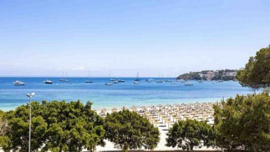 Acheter Appartement Palmanova rgion ISLAS-BALEARES