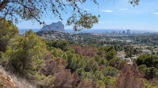 Acheter Maison 361 m2 Calpe