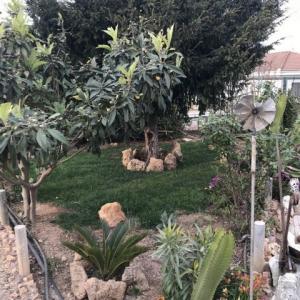 Vente Maison Tortosa  T