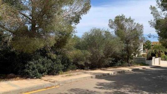 Annonce Vente Terrain Sol-de-mallorca