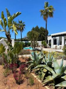 Acheter Maison Sant-josep-de-sa-talaia rgion ISLAS-BALEARES