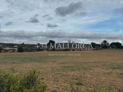 Vente Terrain Llucmajor LLUCMAJOR PM en Espagne