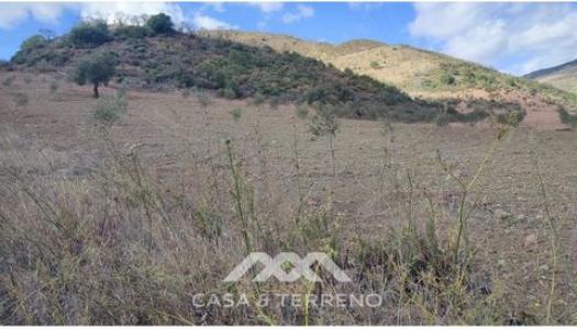 Annonce Vente Terrain Casabermeja