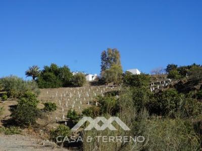 Annonce Vente Maison Vinuela