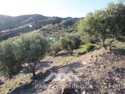 Vente Terrain Benajarafe BENAJARAFE MA en Espagne