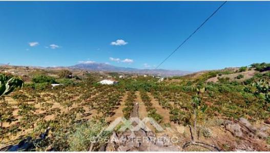 Acheter Maison Benamocarra rgion MALAGA