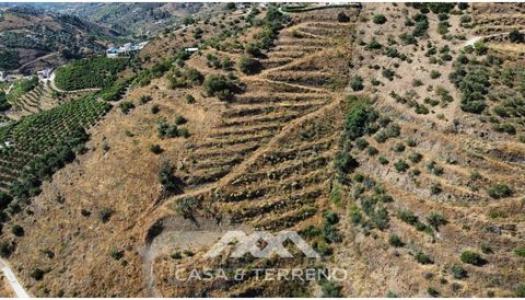 Vente Terrain Frigiliana FRIGILIANA MA en Espagne