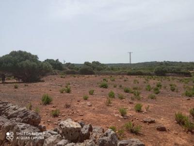 Acheter Terrain Alaior rgion ISLAS-BALEARES