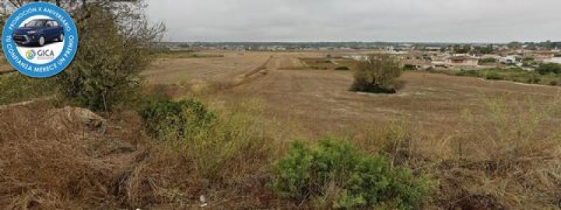 Acheter Terrain 7580 m2 Chiclana-de-la-frontera