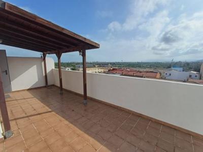 Annonce Location Appartement Miramar