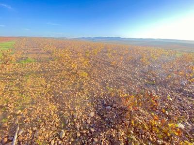 Vente Terrain Santa-marta-de-los-barros  BA en Espagne