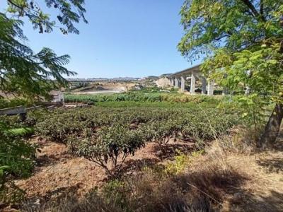 Annonce Vente Maison Estepona