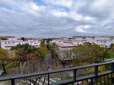 Acheter Appartement 149 m2 Sevilla