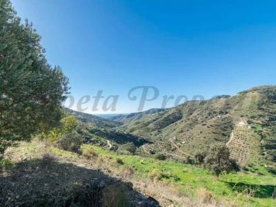 Annonce Vente Terrain Torrox