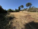 Annonce Vente Terrain San-roque