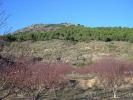 Acheter Terrain Canillas-de-albaida rgion MALAGA