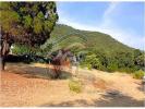 Vente Terrain Santa-cristina-d'aro 17246