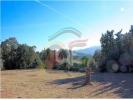 Annonce Vente Terrain Santa-cristina-d'aro