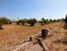 Acheter Terrain 5181 m2 Javea