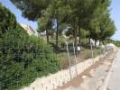 Annonce Vente Terrain Calpe