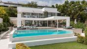 Acheter Maison 491 m2 Marbella