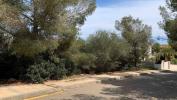 Annonce Vente Terrain Sol-de-mallorca