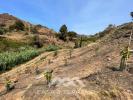 Vente Terrain Torrox 29770