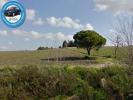 Vente Terrain Chiclana-de-la-frontera 11130