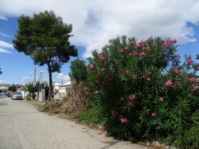 Vente Terrain Teulada  A en Espagne