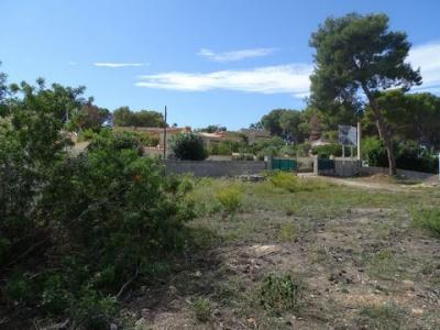 Annonce Vente Terrain Teulada